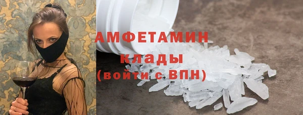 прущие грибы Балабаново