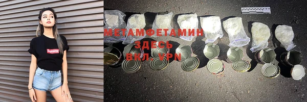 прущие грибы Балабаново