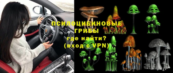 прущие грибы Балабаново