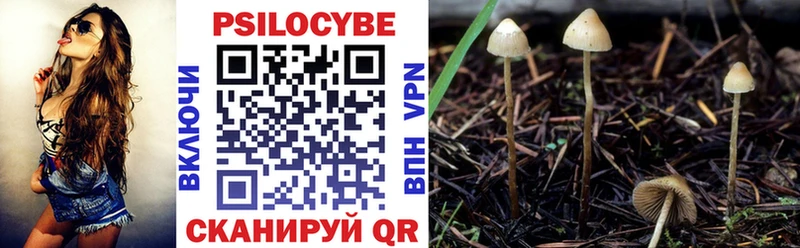 Галлюциногенные грибы мицелий  где можно купить наркотик  Бородино 